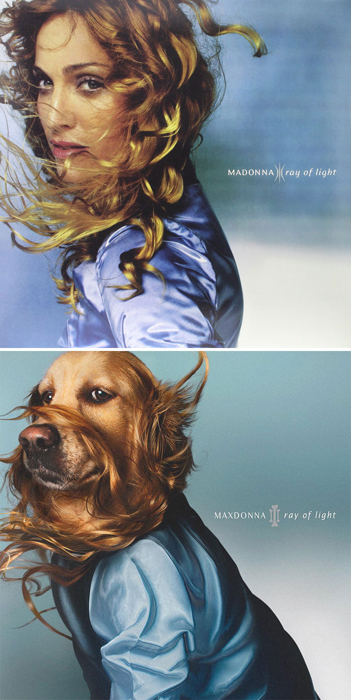 Anjing ini ngefans berat Madonna